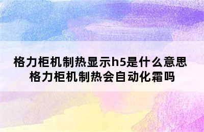 格力柜机制热显示h5是什么意思 格力柜机制热会自动化霜吗